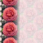 papier a lettre zen a imprimer