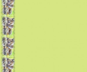 papier a lettre koala